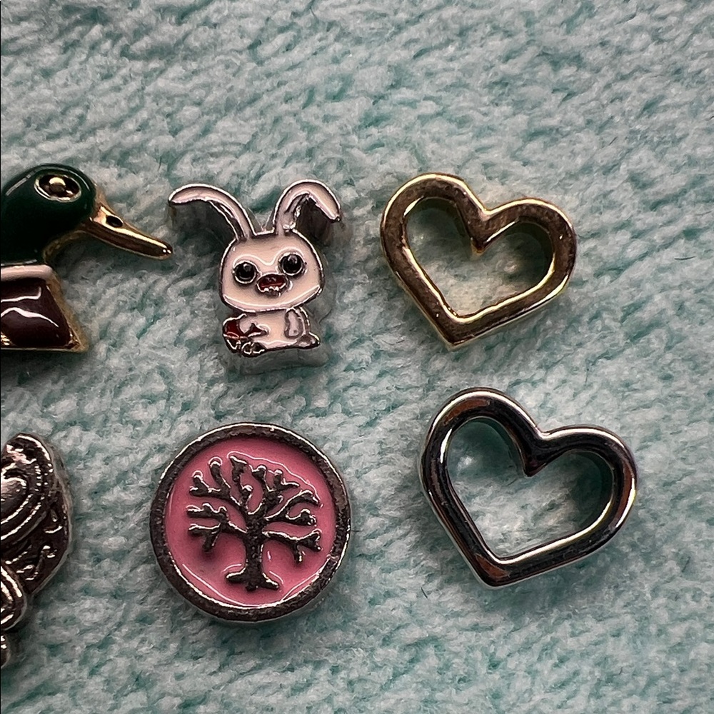 Floating Locket Charms - Picture 3 of 3